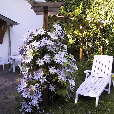 Hotel Haus Wehrbusch